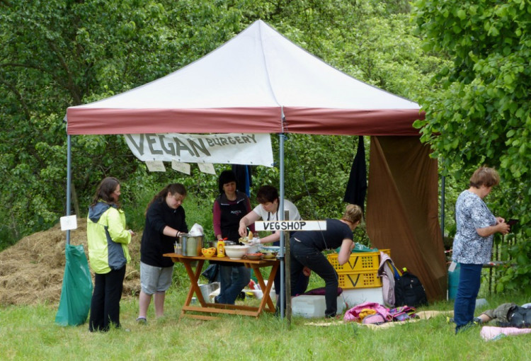Festival Z kopce v Dolní Cerekvi