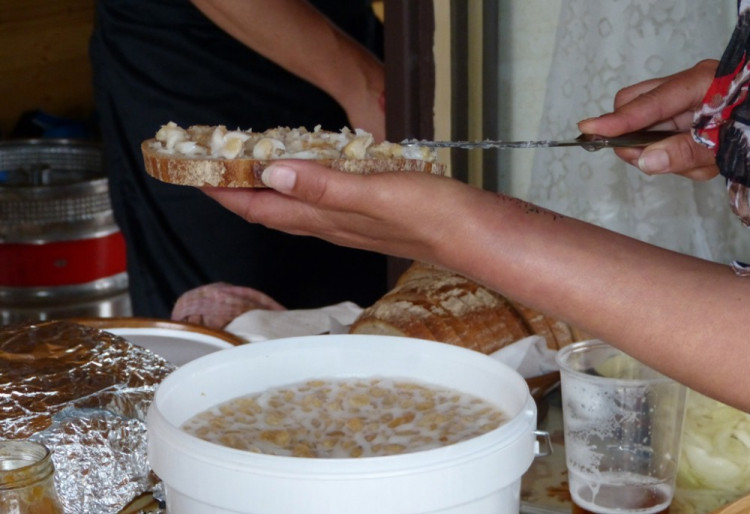 Festival Z kopce v Dolní Cerekvi