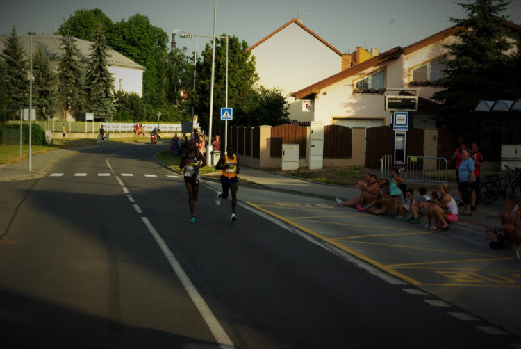 Olomoucký půlmaraton 2016