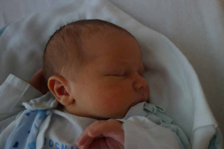 Adam Bauernöpl (Hůry)