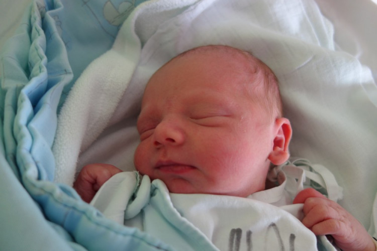 Jakub Cepák (Třeboň)