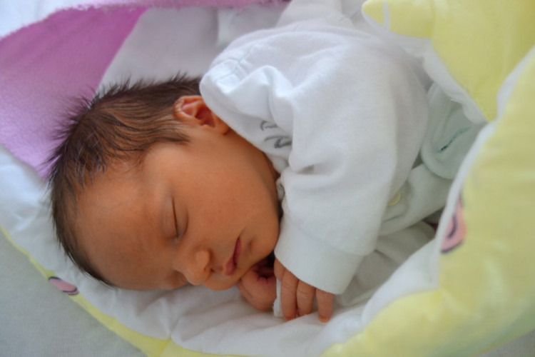 Klára Jantová (Velešín)