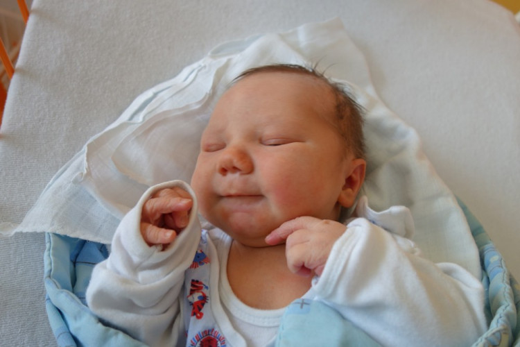 Václav Pěšina (Třeboň)