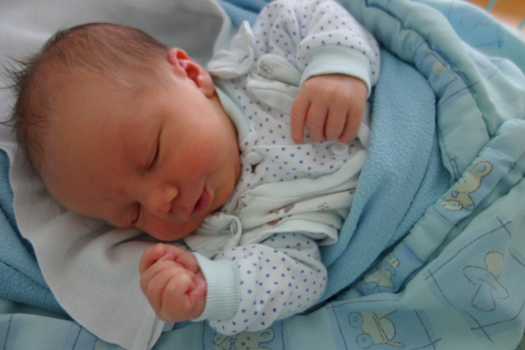 Vojtěch Pitoňák (Vráto u Českých Budějovic)