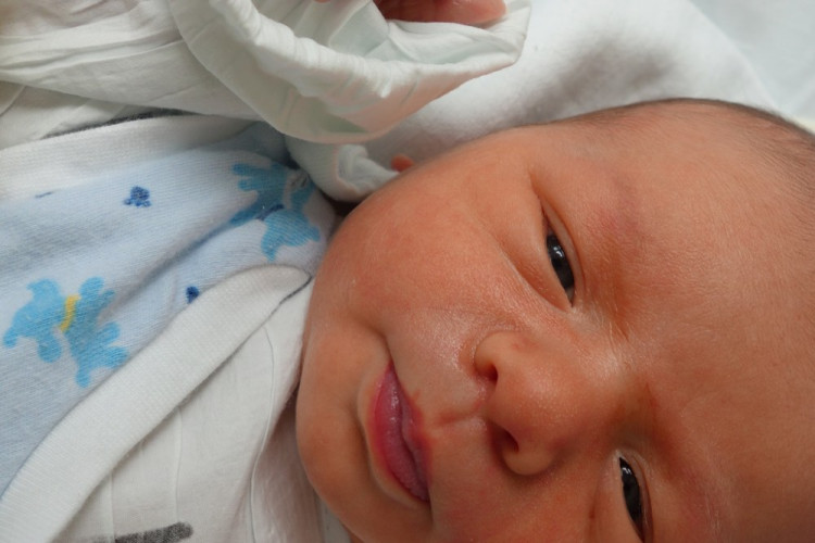 Milan Sýkora (České Budějovice)