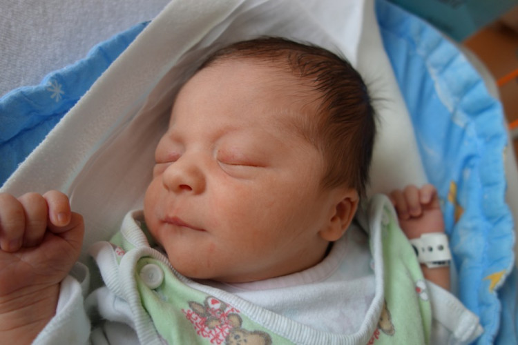 Richard Vandas (Frymburk)