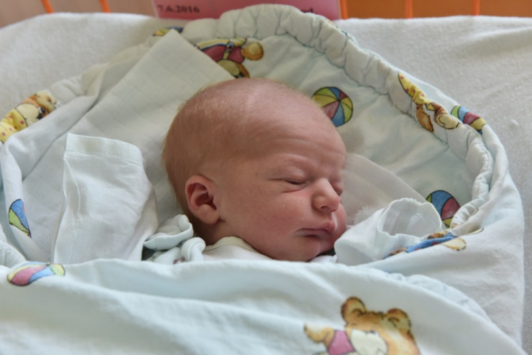 Michaela Brabcová (Stříbřeč)