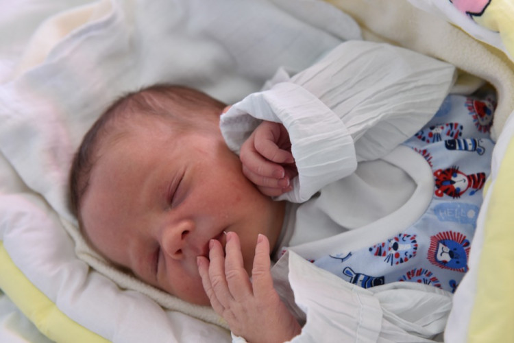 David Chřásťanský (České Budějovice)