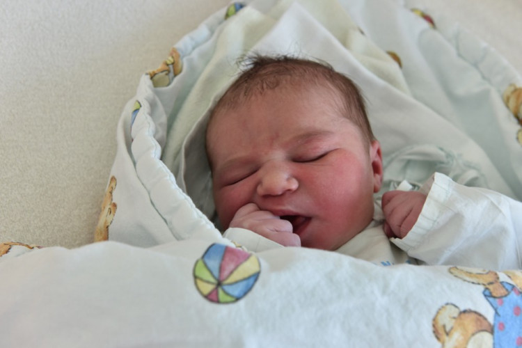 Nela Pečmanová (Řevnovice)