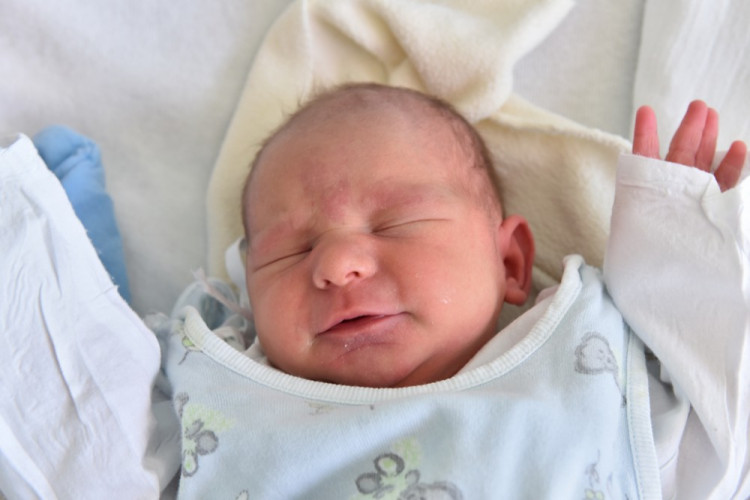 Martin Pícha (České Budějovice)