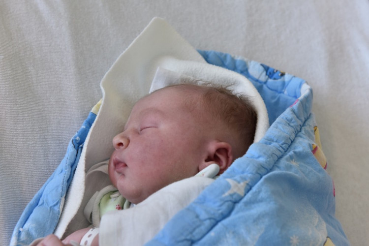 Alexandr Schneider (Prachatice)