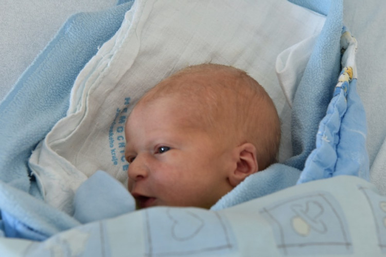 Matyáš Veselý (České Budějovice)