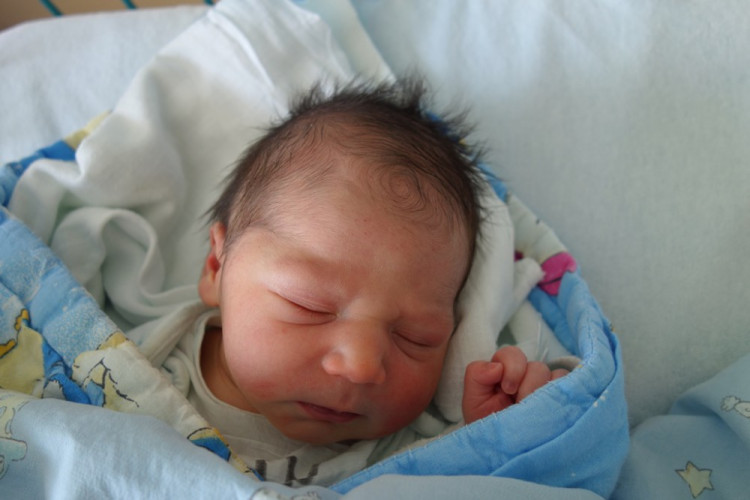 Patrick Sebastian Baláž (České Budějovice)