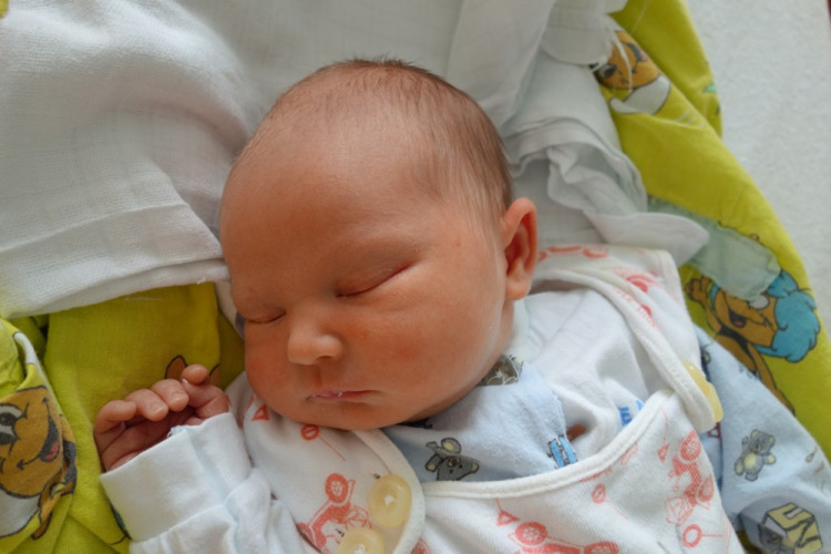 Daniela Grulová (Velešín)