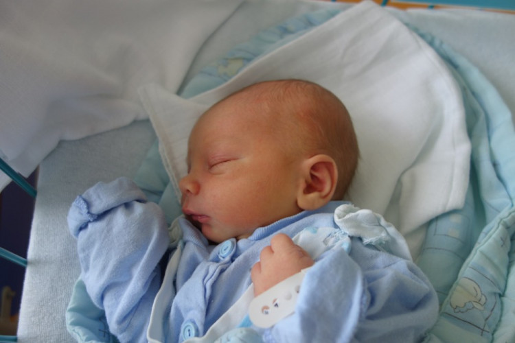 Matěj Hlouch (České Budějovice)