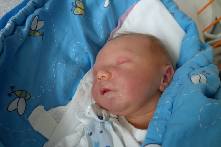 Kryštof Kubák (Borovany)