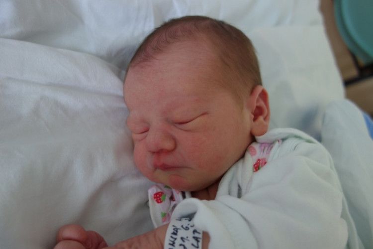 Amálie Lapšanská (Hořice)