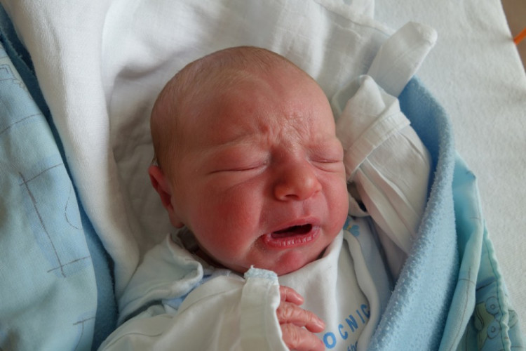 Viktor Šimůnek (Trhové Sviny)