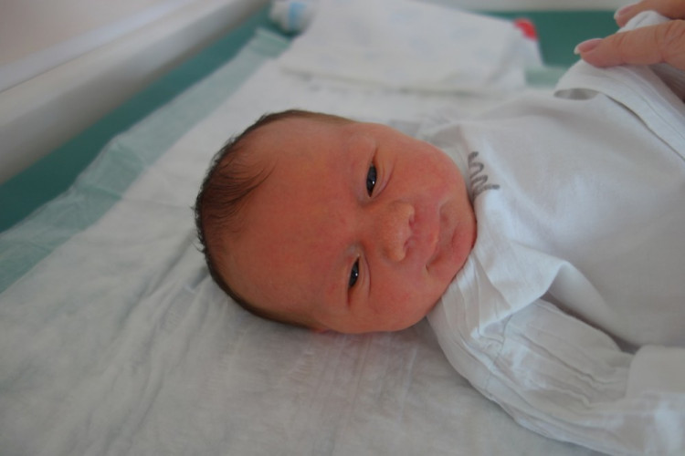 Markéta Šmejkalová (České Budějovice)