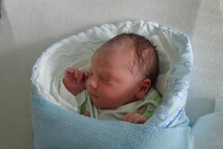 Lukáš Teska (Nové Hrady)