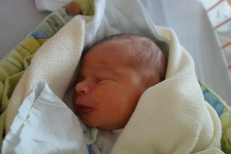 Richard Zedník (Mříč)