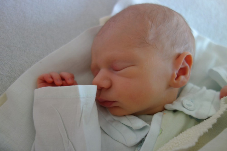 Elena Hálová (České Budějovice)