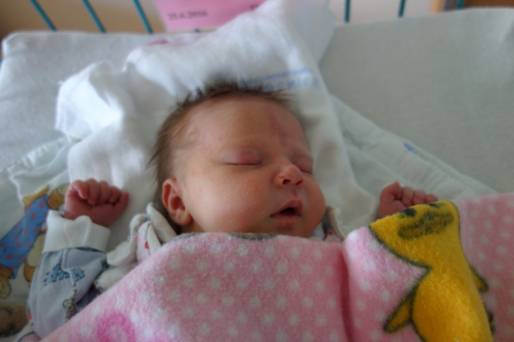 Viktorie Görglová (Český Krumlov)