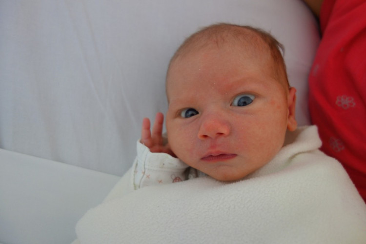 Eva Havlíková (Křemže)