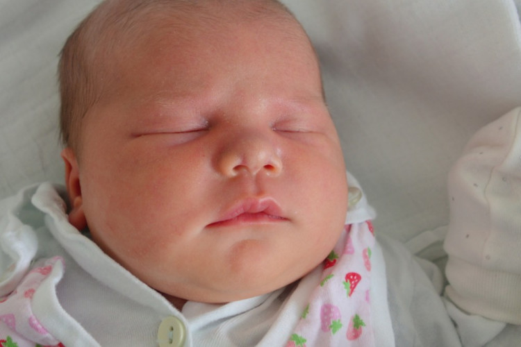 Terezie Pražanová (České Budějovice)