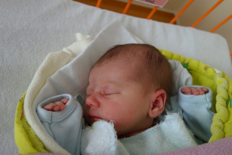 Karolína Šulcová (Trhové Sviny)