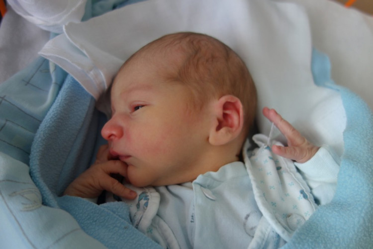 Jan Pečl (České Budějovice)