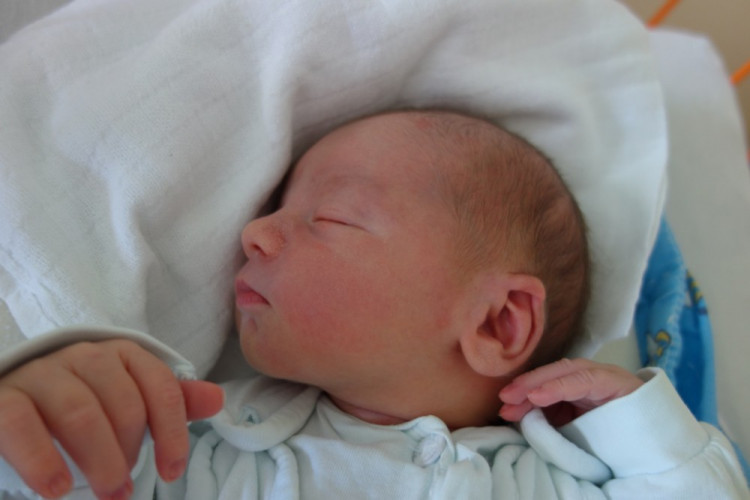 Matyáš Lorenčič (Šindlovy Dvory)