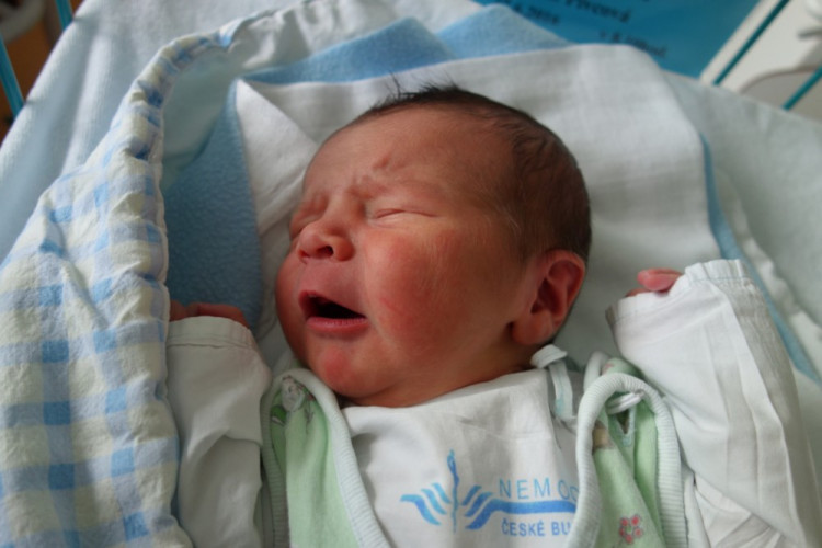 Matěj Drmota (České Budějovice)