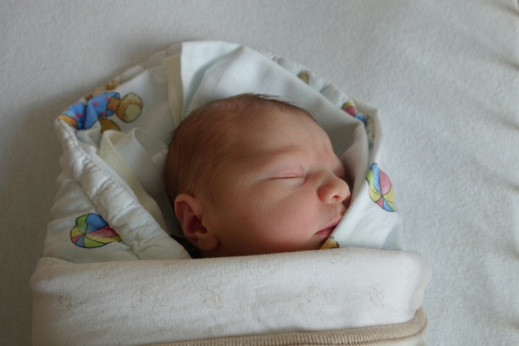 Maja Stříteská (Holubov)