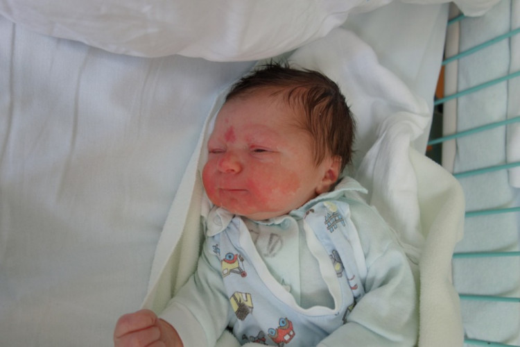 Kryštof Gabriš (Bechyně)