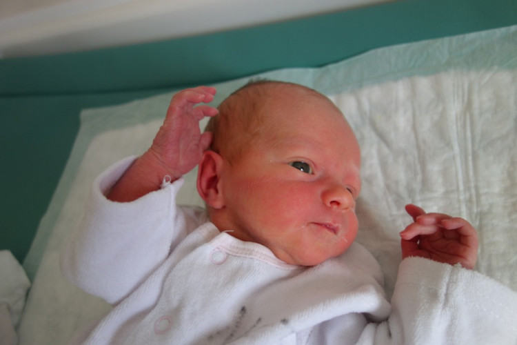 Nikola Jíšová (České Budějovice)