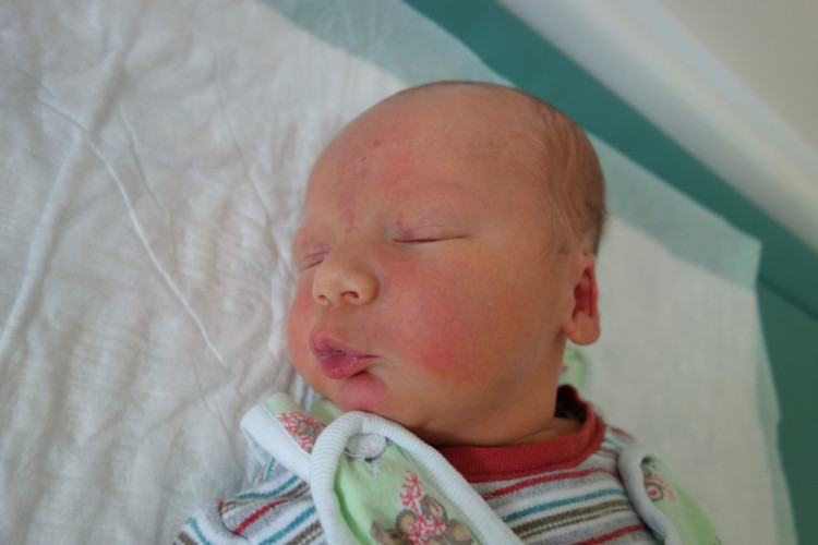 Denis Čejka (České Budějovice)