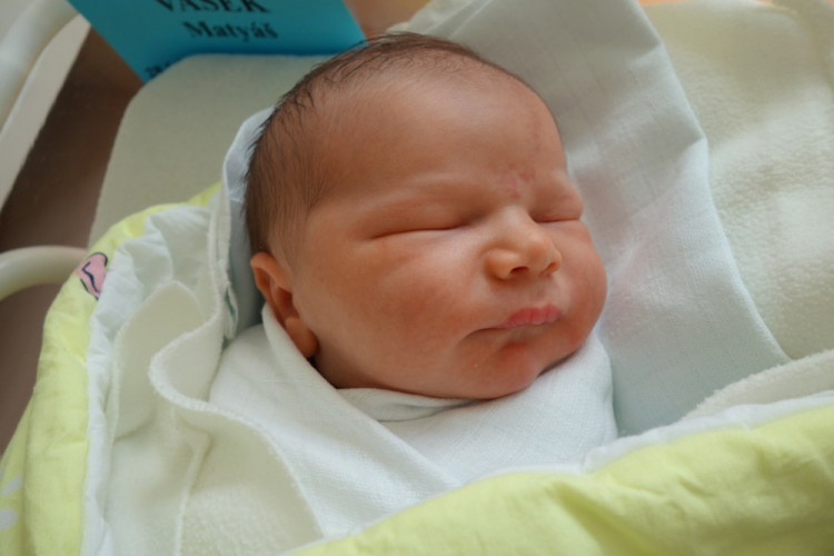 Matyáš Vašek (České Budějovice)