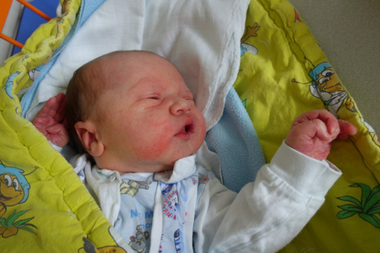 Patrik Nejedlý (Včelná)