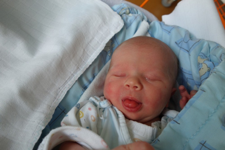 David Květenský (Trhové Sviny)