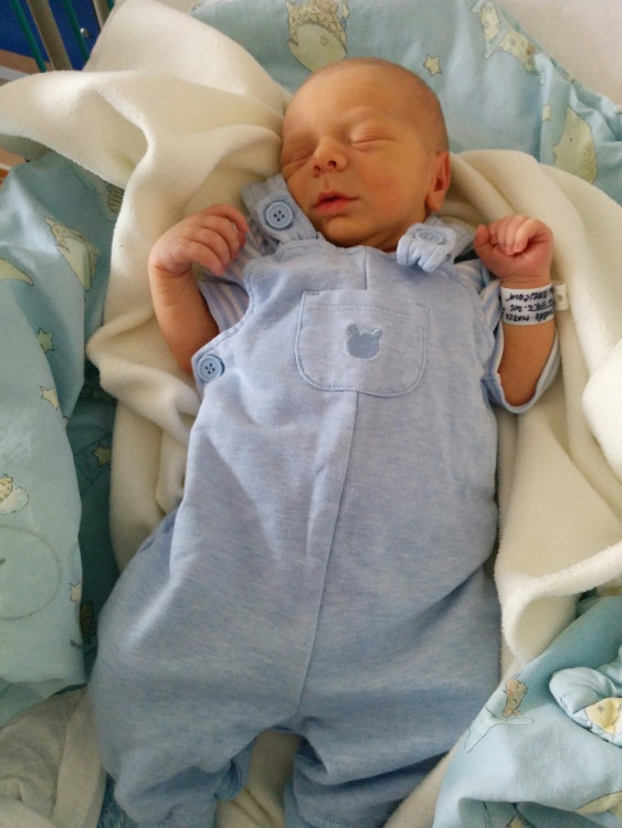 Marek Dvořák (České Budějovice)