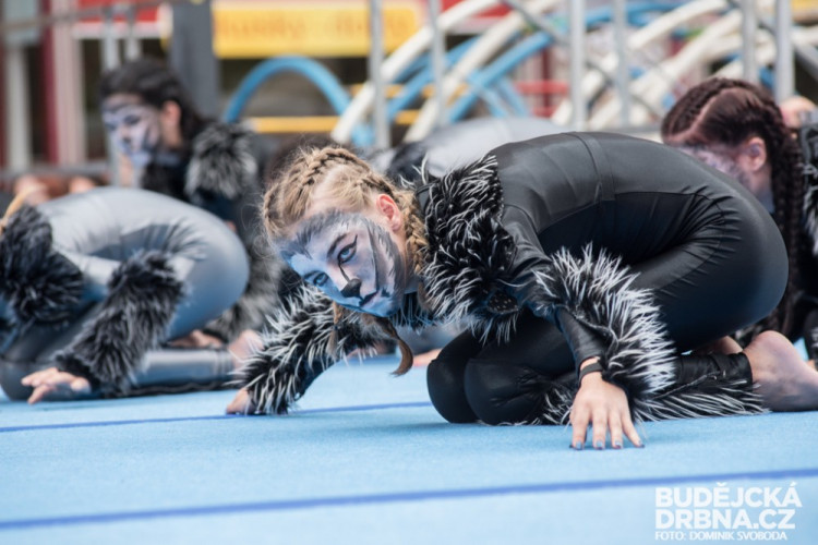 Eurogym 2016 - čtvrtek