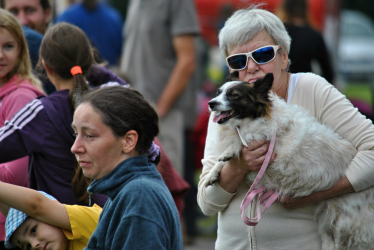 Jindřichovické dny 2016
