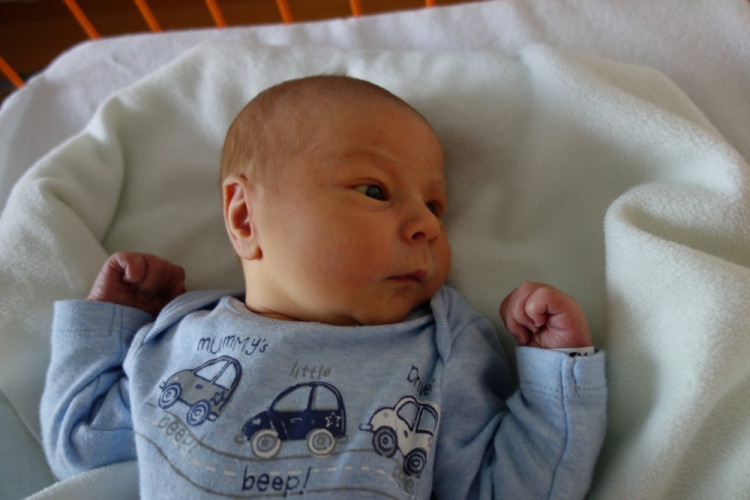 Adem Šehič (České Budějovice)