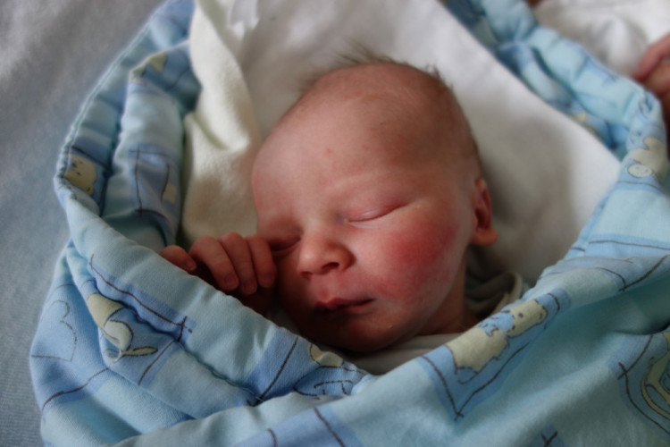 David Roubíček (Hrbov)