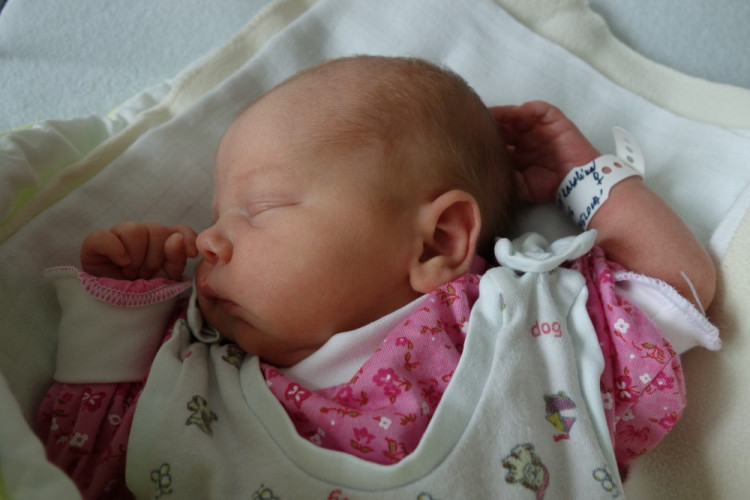 Karolína Cibulková (Borovany)