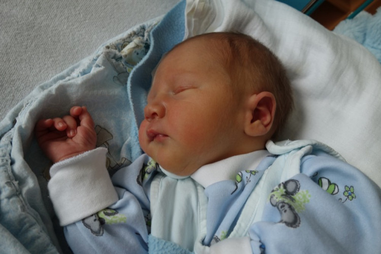 Matyáš Moravec (České Budějovice)