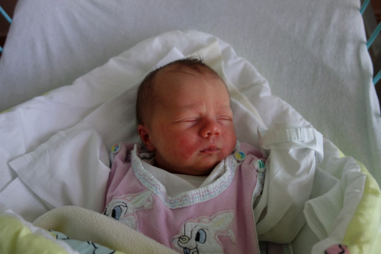 Nela Lintnerová (Včelná)