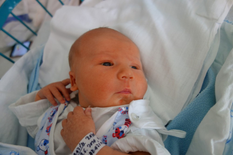 Radek Harazím (Veselí nad Lužnicí)