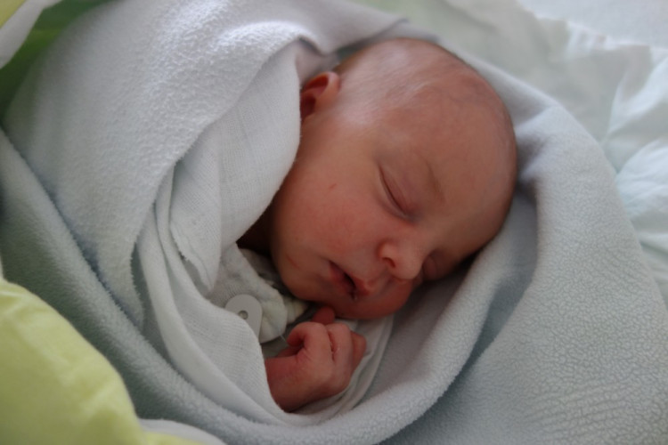 Tereza Doležalová (ČB)